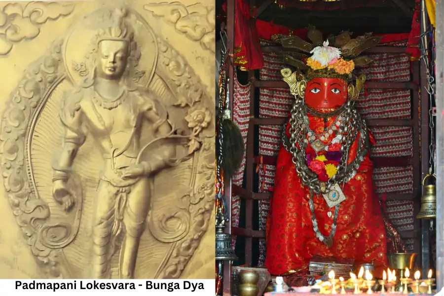 bunga-dya
