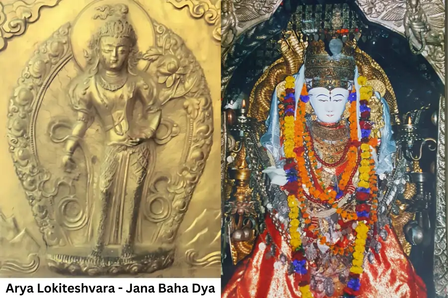 jana-baha-dya